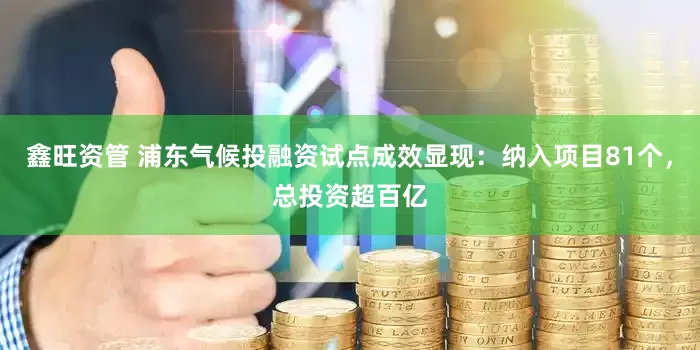 鑫旺资管 浦东气候投融资试点成效显现：纳入项目81个，总投资超百亿